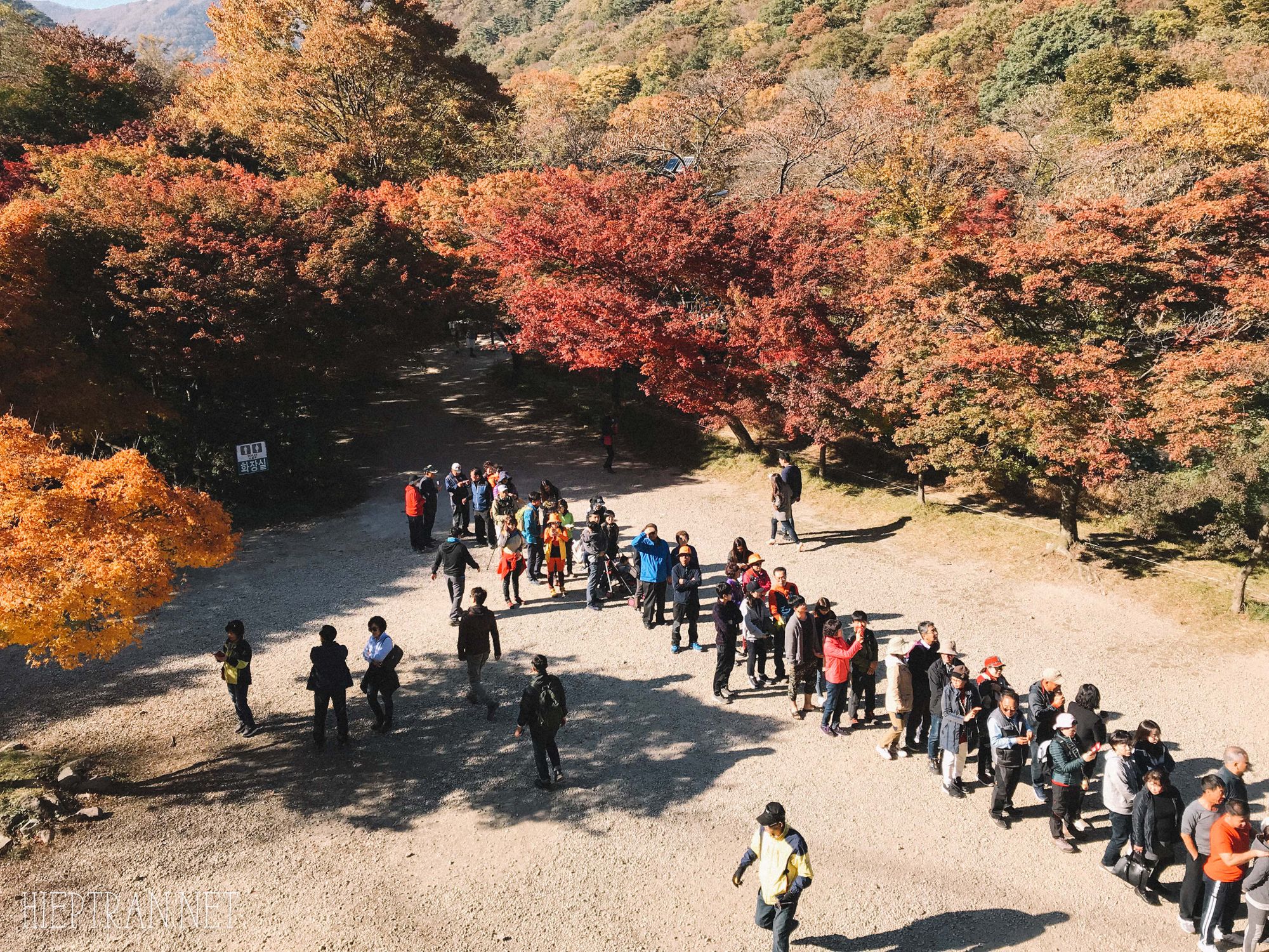 Đi Naejangsan ngắm lá thu vàng