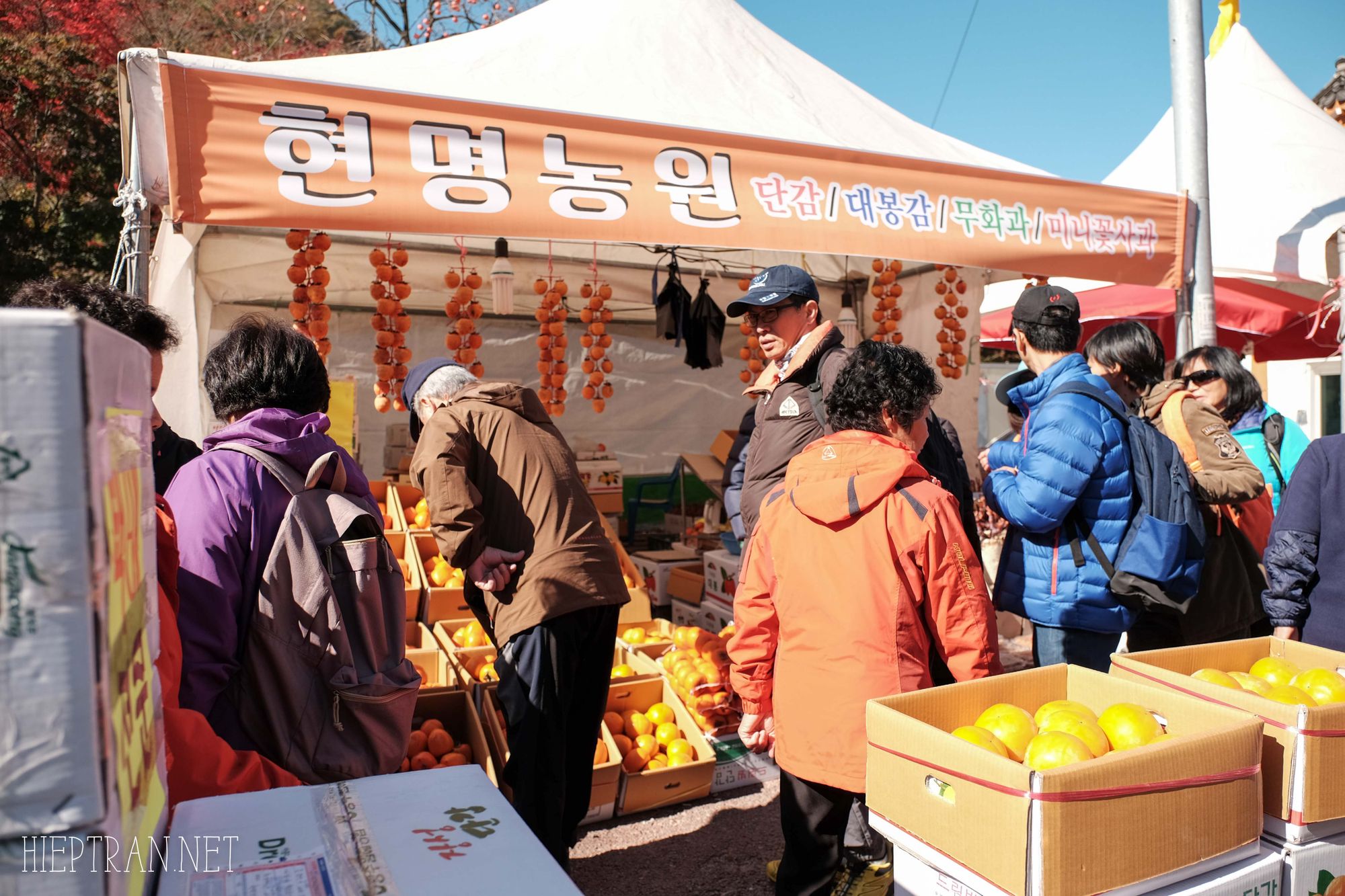 Đi Naejangsan ngắm lá thu vàng