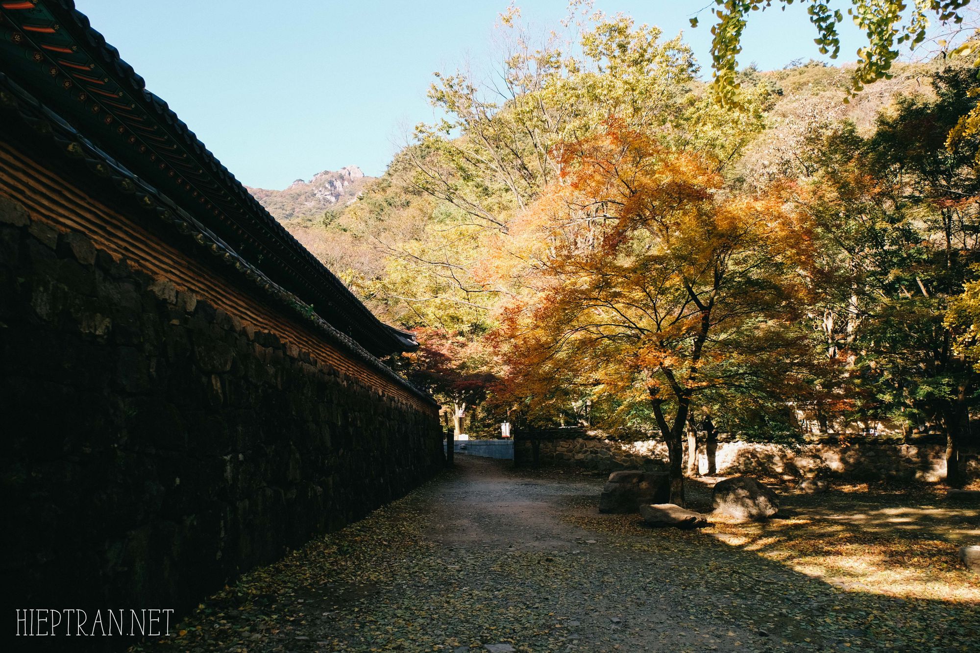 Đi Naejangsan ngắm lá thu vàng