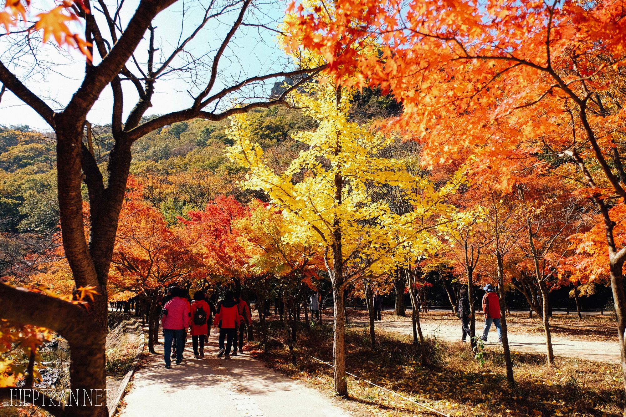 ĐẾN JEONJU ĐỂ MỘT LẦN SỐNG CHẬM