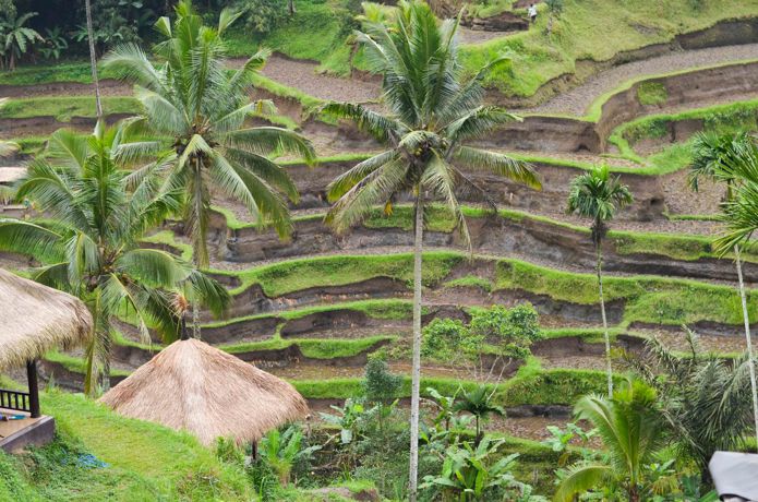 Bali- Không chỉ là thiên đường [Phần 2.1]